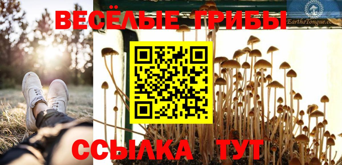 Галлюциногенные грибы мицелий Тула