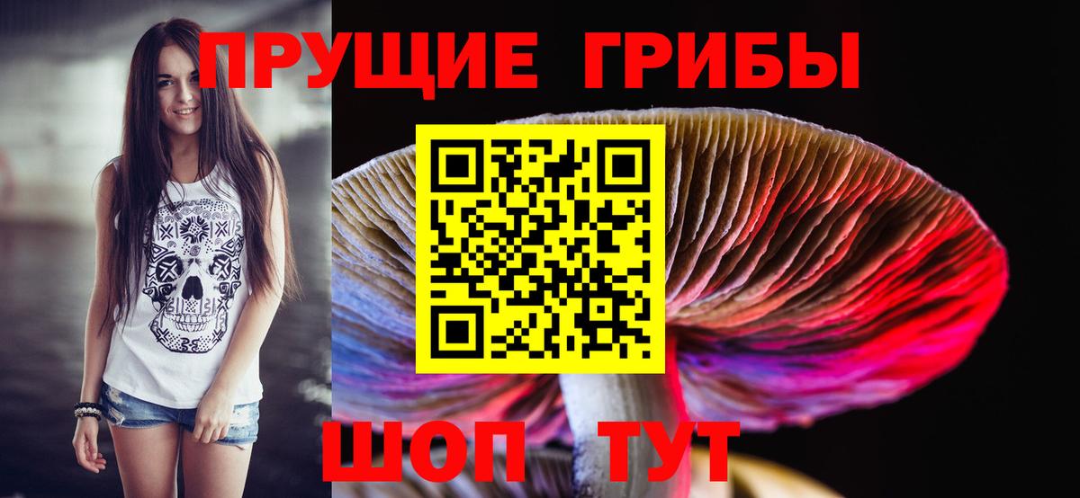 Галлюциногенные грибы Psilocybine cubensis  Вход с VPN  Тула 